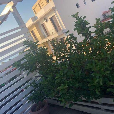 B&B H224 Ρέτζιο ντι Καλάμπρια Εξωτερικό φωτογραφία